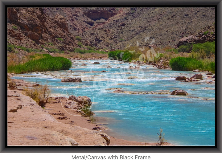 Wall Art: Little Colorado Oasis