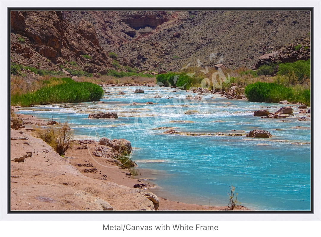 Wall Art: Little Colorado Oasis