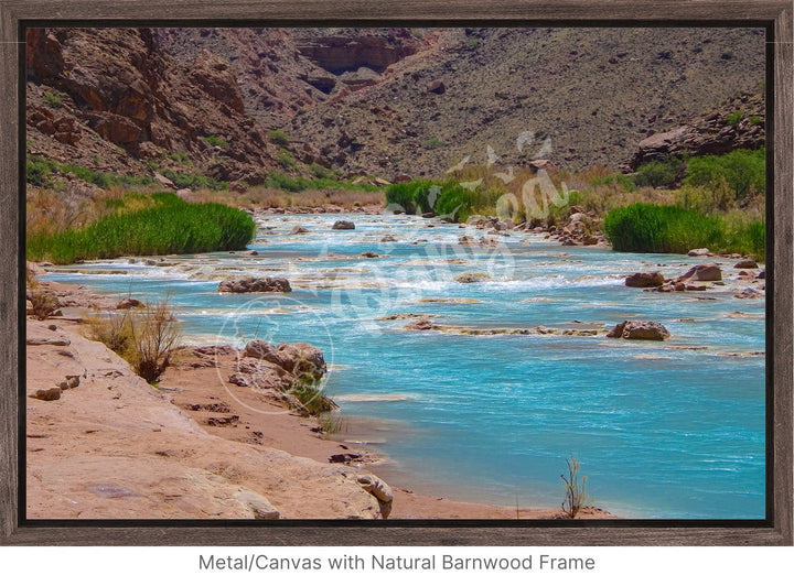 Wall Art: Little Colorado Oasis