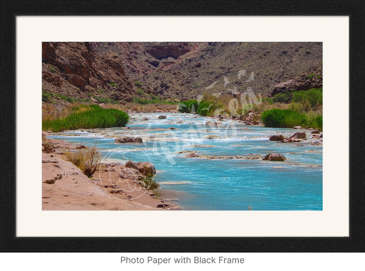 Wall Art: Little Colorado Oasis