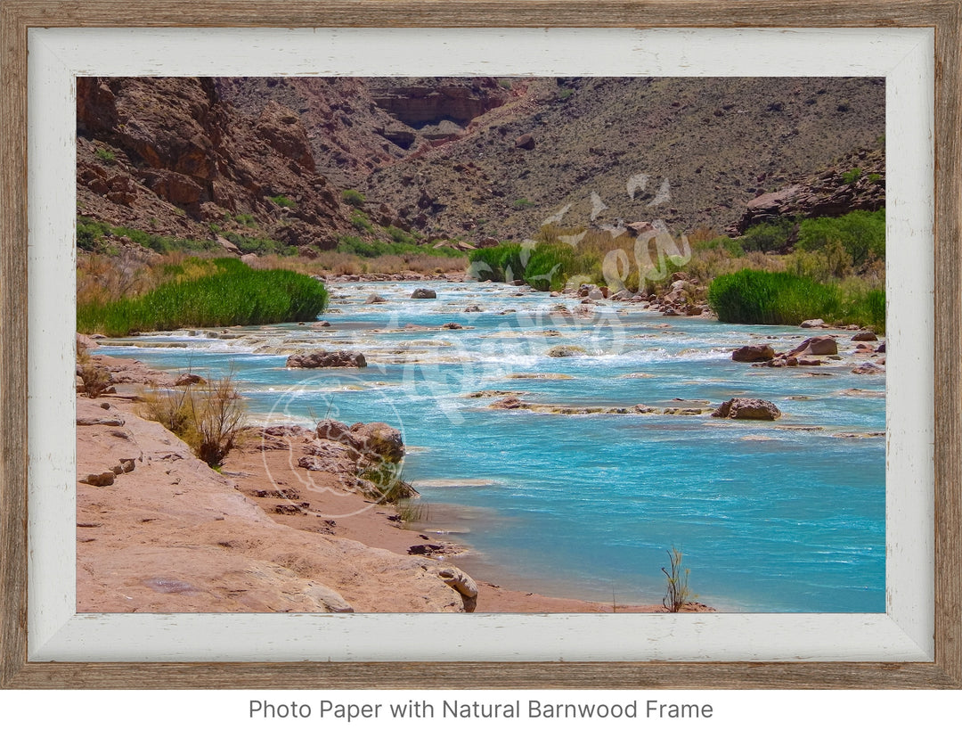 Wall Art: Little Colorado Oasis