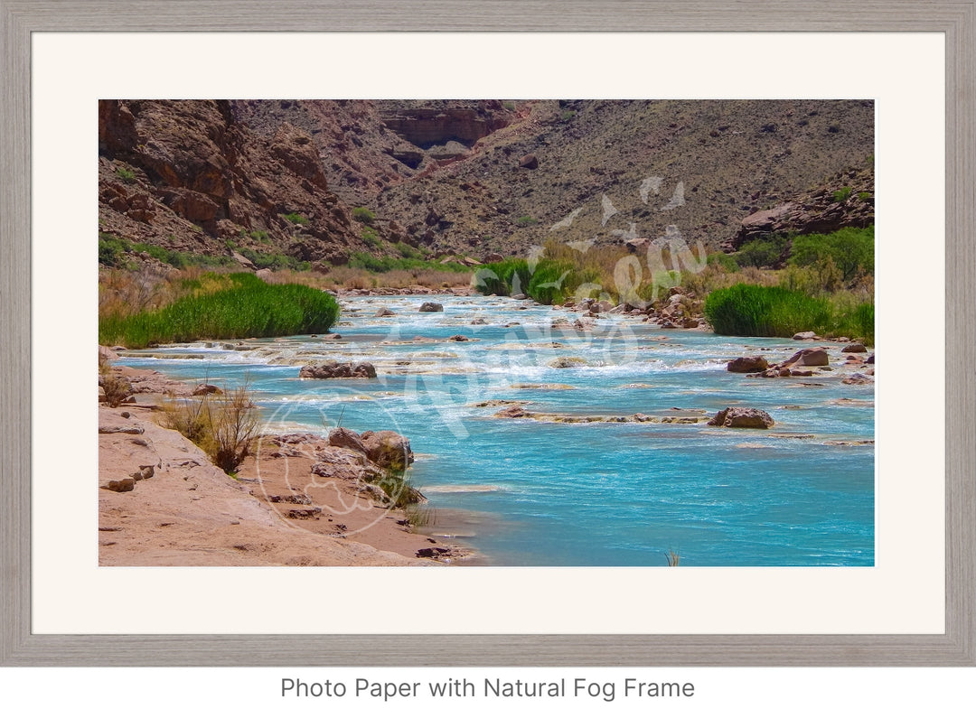 Wall Art: Little Colorado Oasis