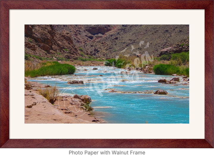 Wall Art: Little Colorado Oasis