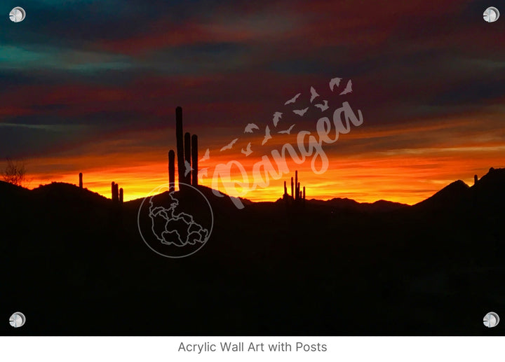 Wall Art: Sonoran Desert Sunrise