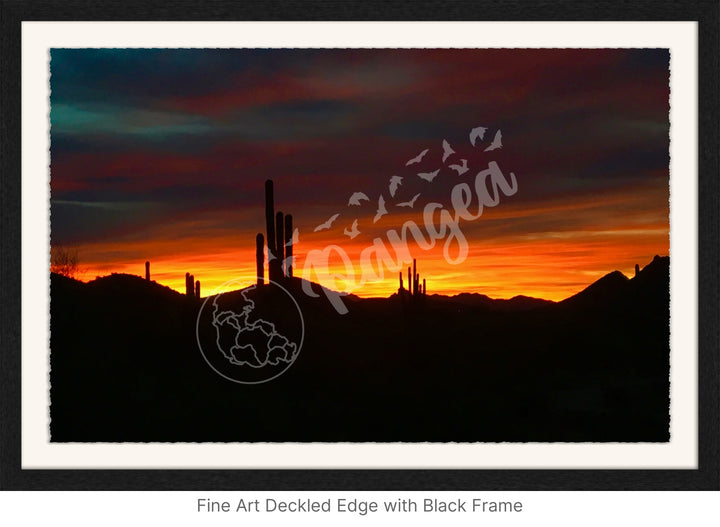 Wall Art: Sonoran Desert Sunrise