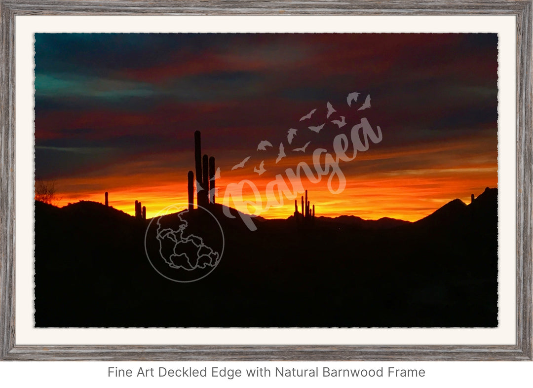 Wall Art: Sonoran Desert Sunrise