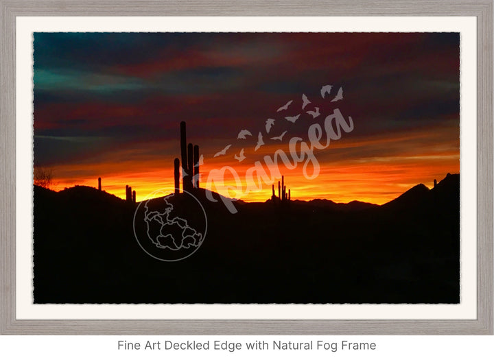 Wall Art: Sonoran Desert Sunrise