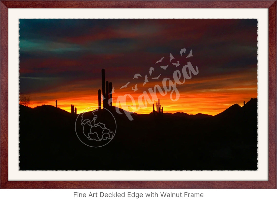 Wall Art: Sonoran Desert Sunrise