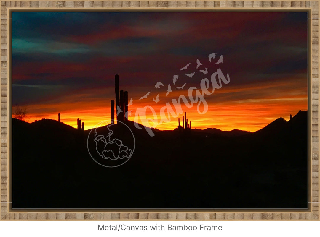 Wall Art: Sonoran Desert Sunrise