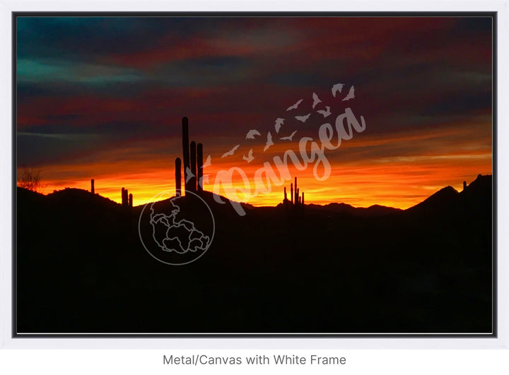 Wall Art: Sonoran Desert Sunrise