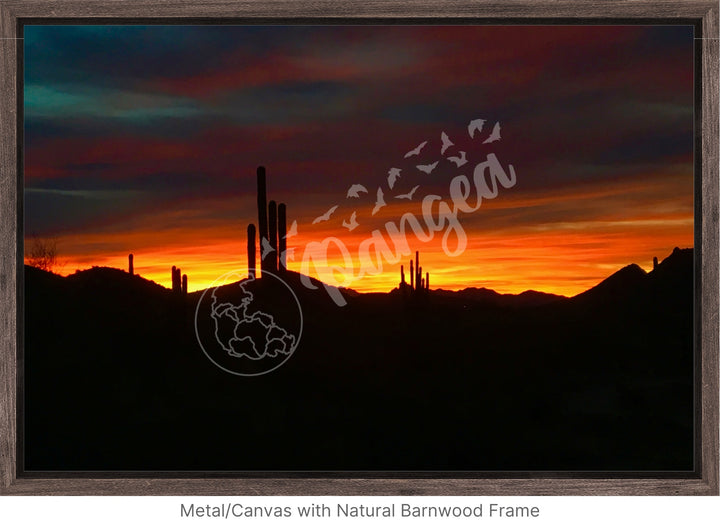 Wall Art: Sonoran Desert Sunrise