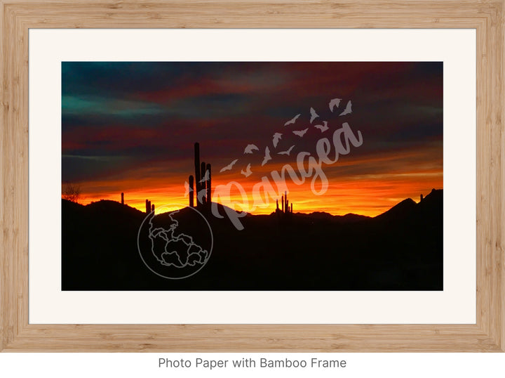 Wall Art: Sonoran Desert Sunrise