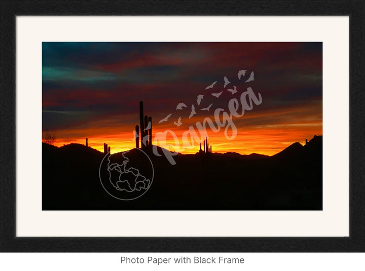 Wall Art: Sonoran Desert Sunrise