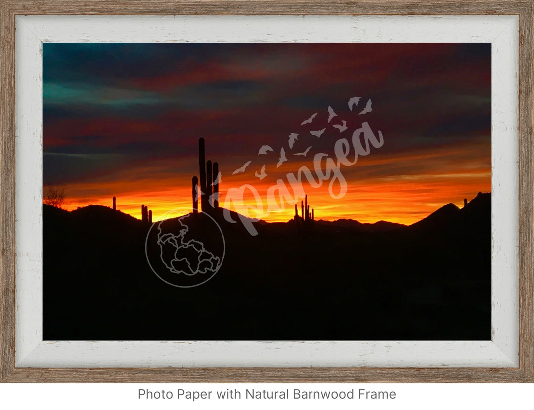 Wall Art: Sonoran Desert Sunrise