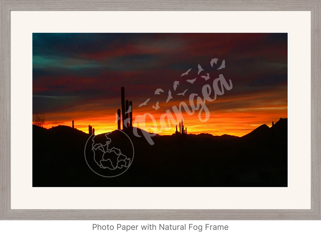 Wall Art: Sonoran Desert Sunrise