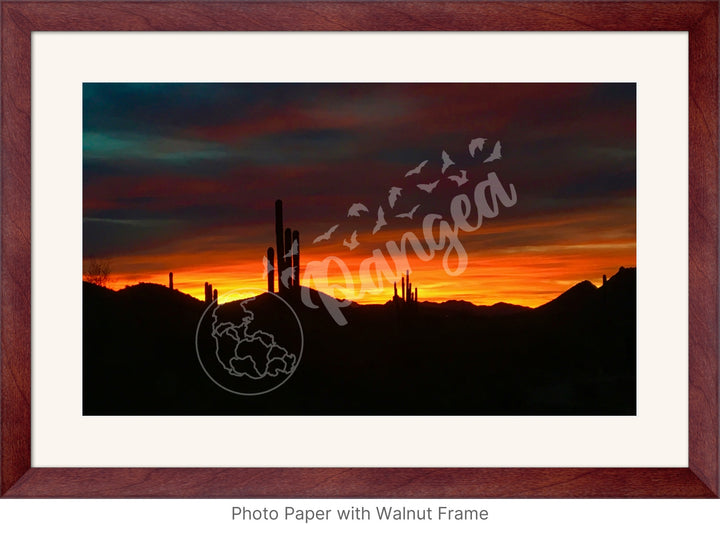 Wall Art: Sonoran Desert Sunrise