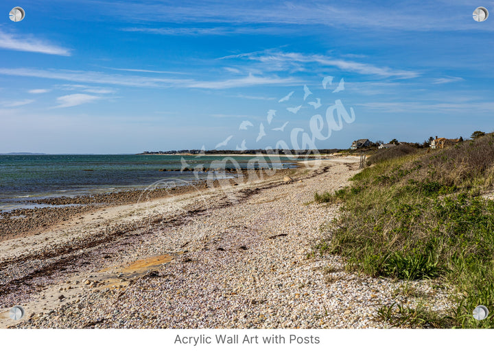 Wall Art: Spring Day at Woodneck