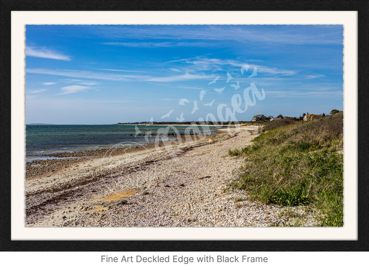 Wall Art: Spring Day at Woodneck