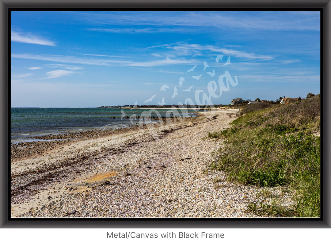 Wall Art: Spring Day at Woodneck