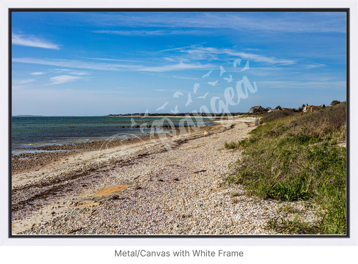 Wall Art: Spring Day at Woodneck