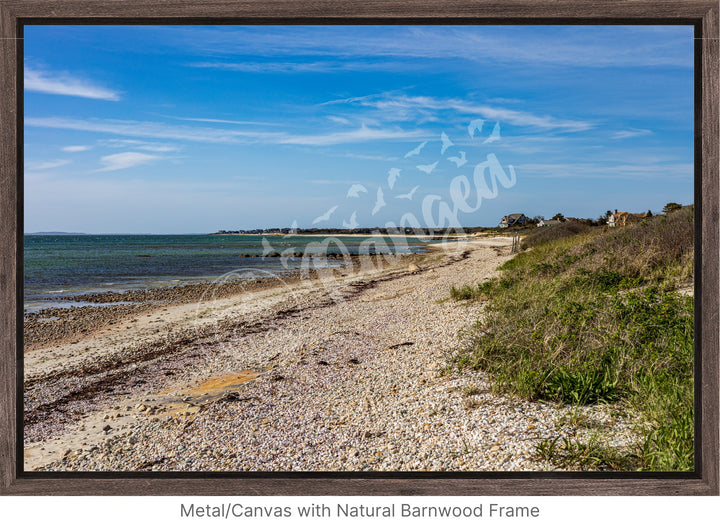 Wall Art: Spring Day at Woodneck