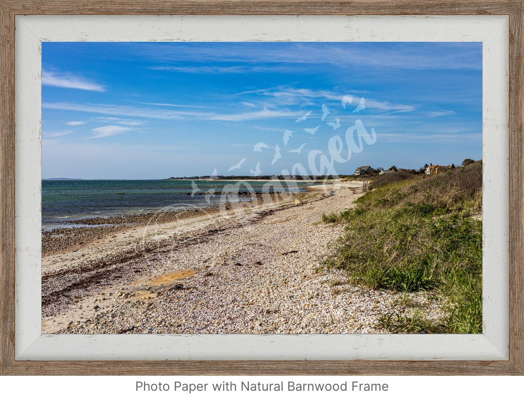 Wall Art: Spring Day at Woodneck