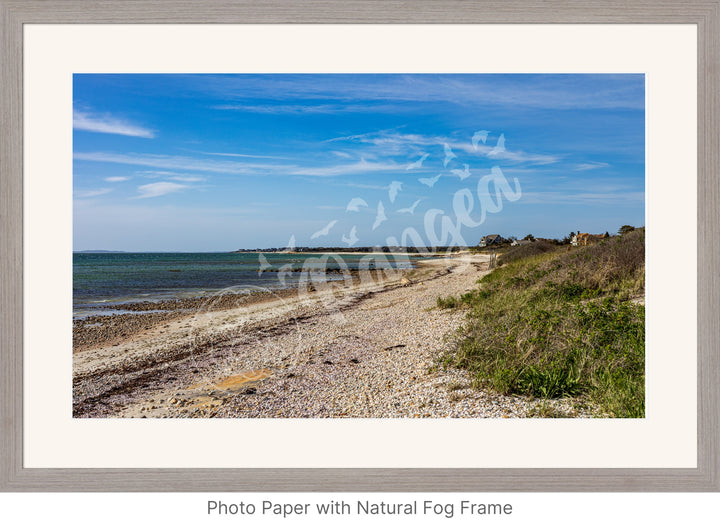 Wall Art: Spring Day at Woodneck