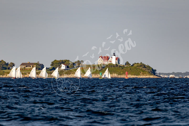 Wall Art: Fall Racing at Nobska