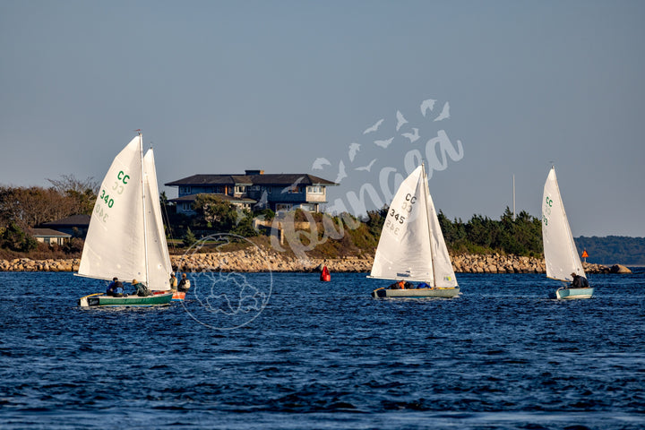 Wall Art: Racing Past the Airplane House