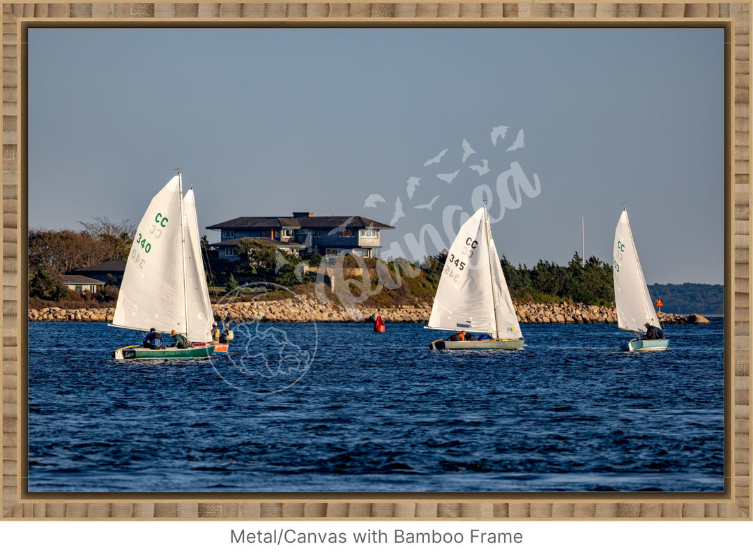 Wall Art: Racing Past the Airplane House