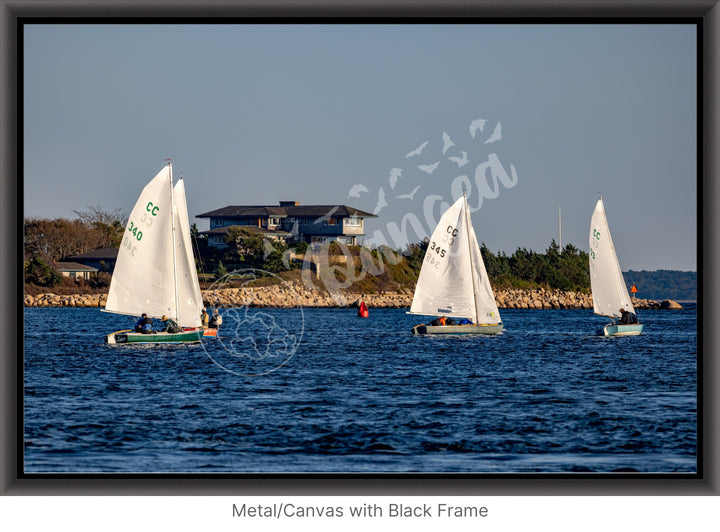 Wall Art: Racing Past the Airplane House