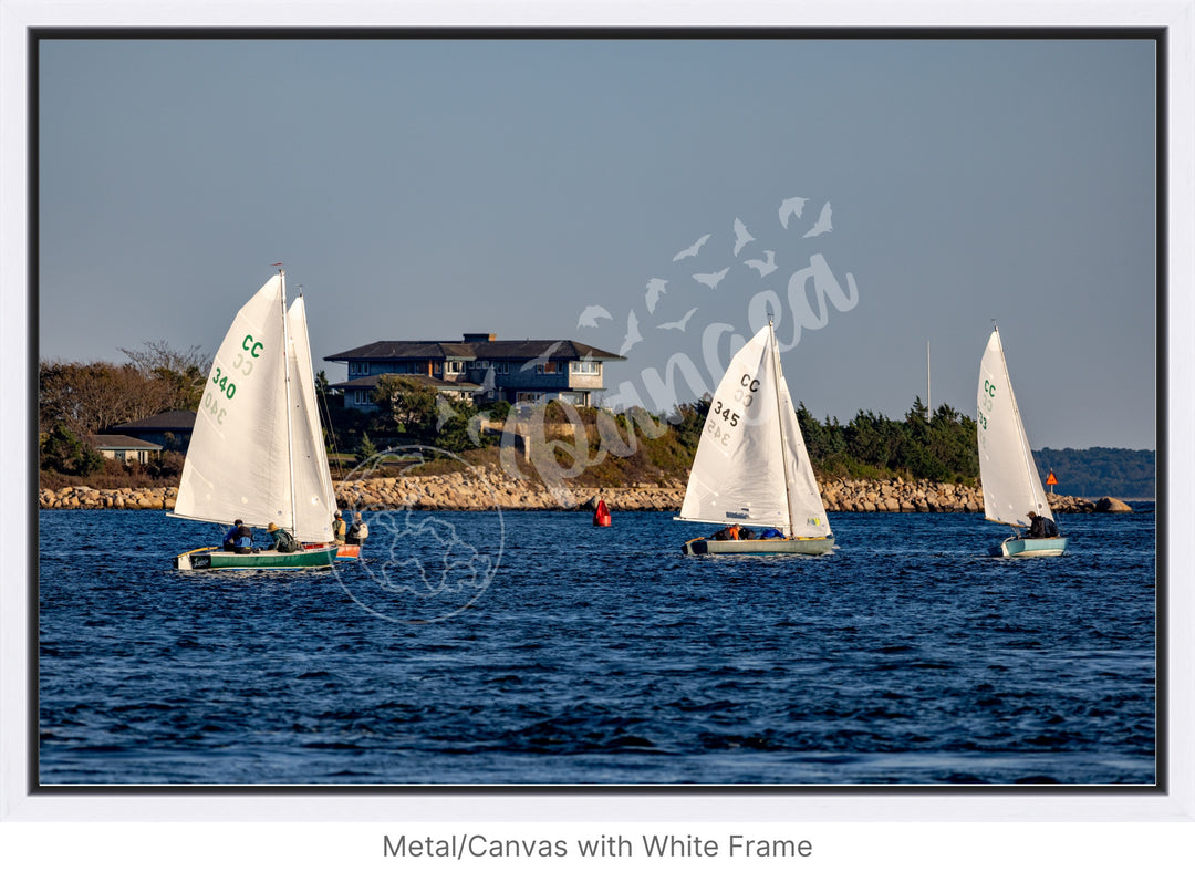 Wall Art: Racing Past the Airplane House