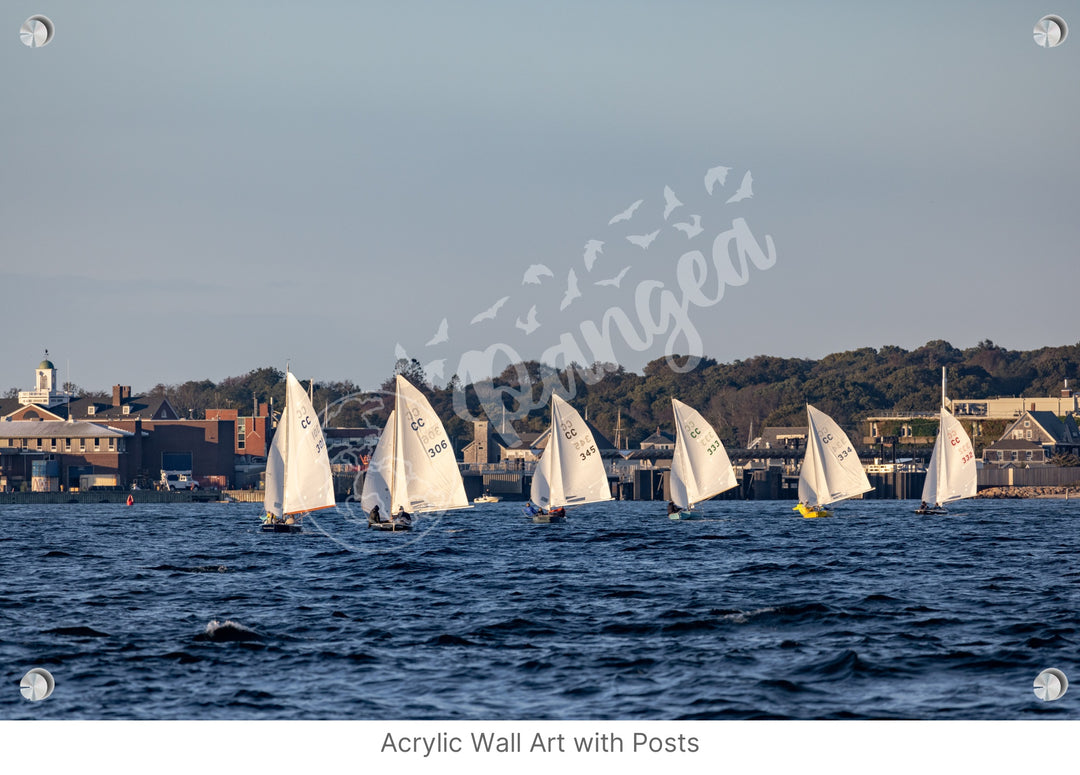 Wall Art: Cape Cod Knockabouts Racing in Woods Hole