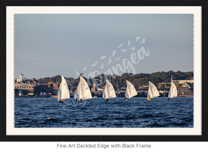 Wall Art: Cape Cod Knockabouts Racing in Woods Hole