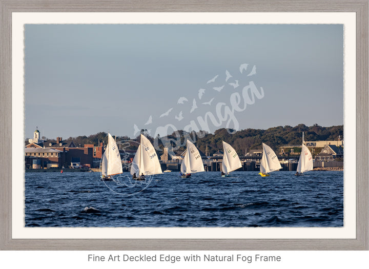 Wall Art: Cape Cod Knockabouts Racing in Woods Hole