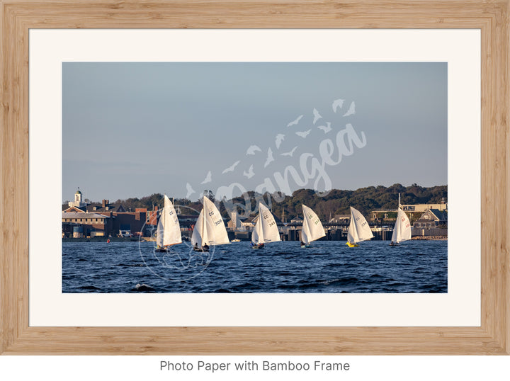 Wall Art: Cape Cod Knockabouts Racing in Woods Hole