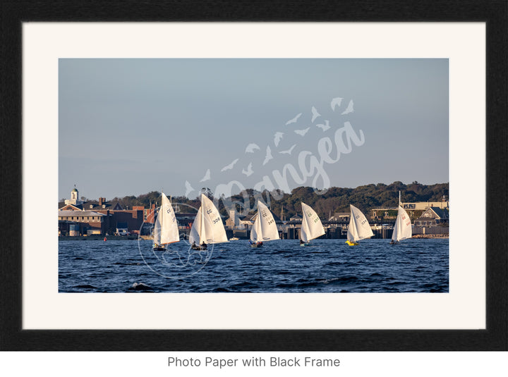 Wall Art: Cape Cod Knockabouts Racing in Woods Hole