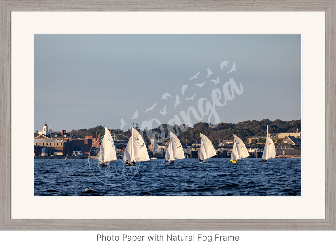 Wall Art: Cape Cod Knockabouts Racing in Woods Hole