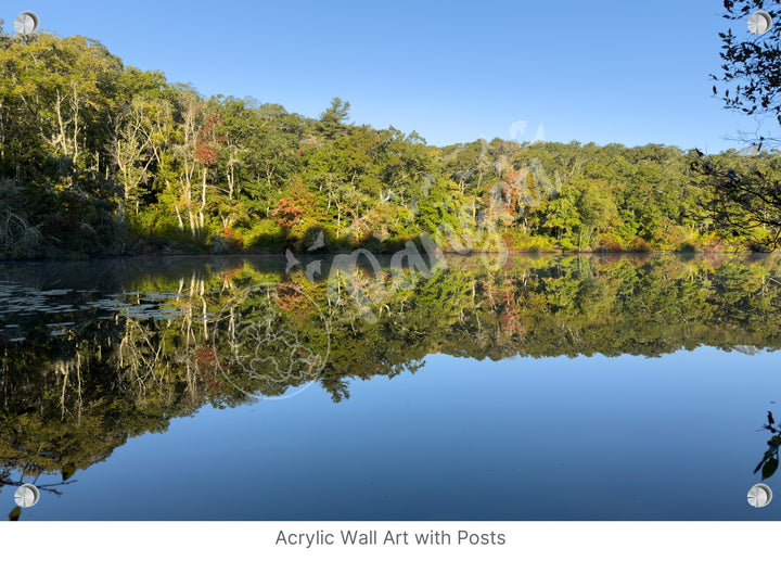 Wall Art: A Moment of Reflection