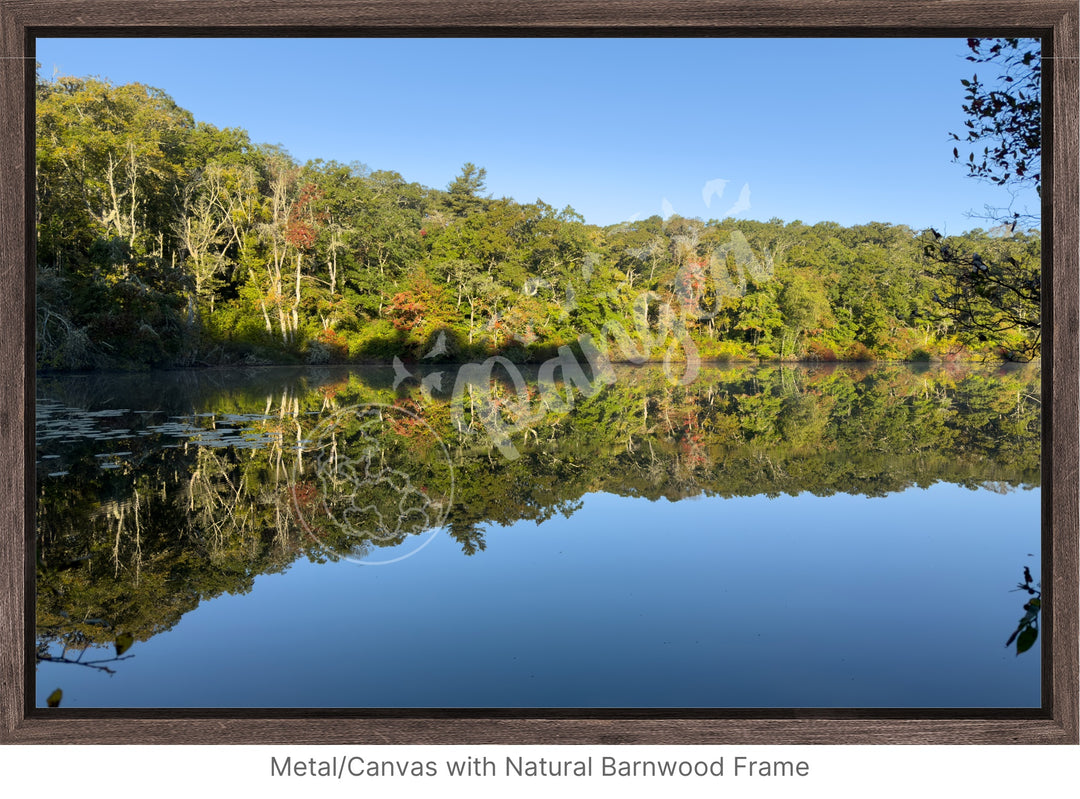 Wall Art: A Moment of Reflection