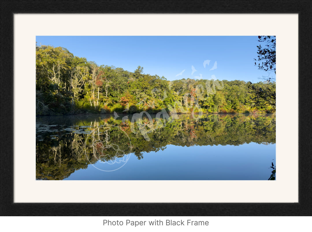 Wall Art: A Moment of Reflection