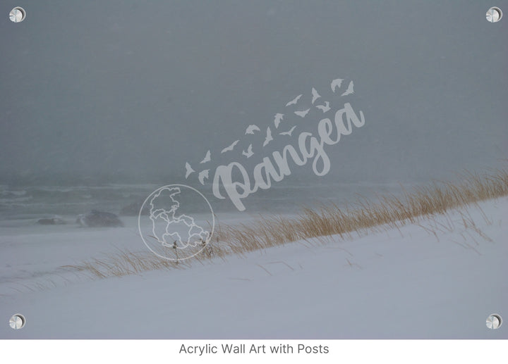 Wall Art: Blizzard at the Beach