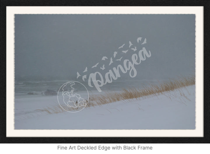 Wall Art: Blizzard at the Beach