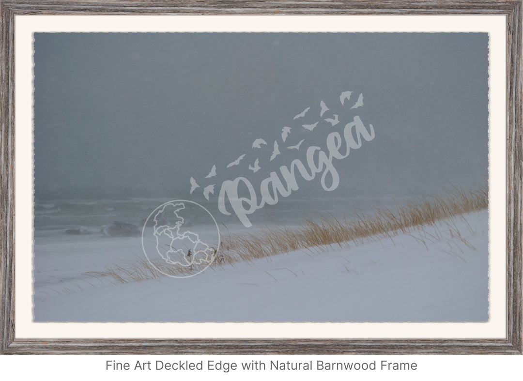 Wall Art: Blizzard at the Beach