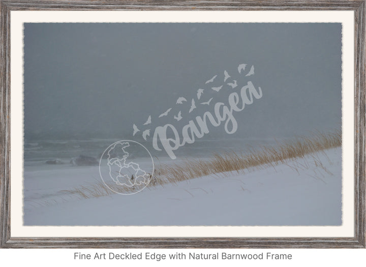 Wall Art: Blizzard at the Beach