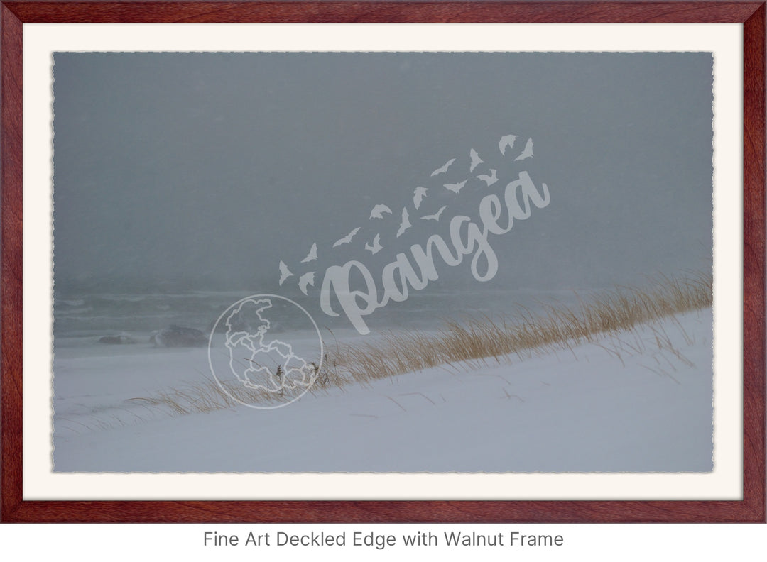 Wall Art: Blizzard at the Beach