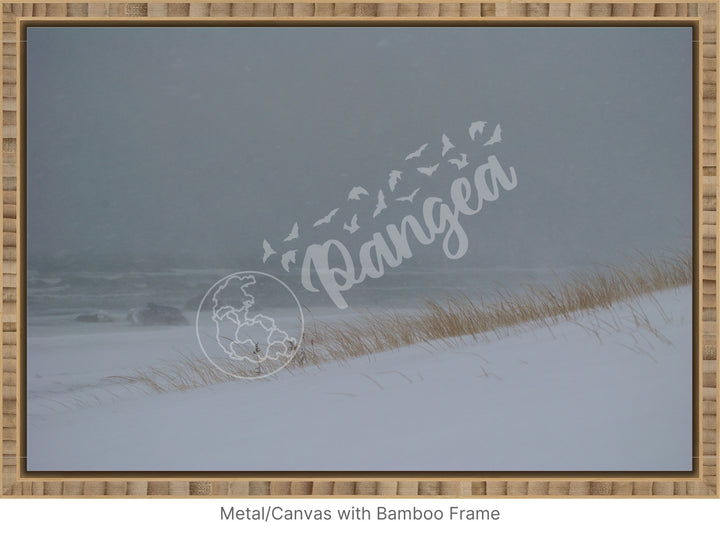 Wall Art: Blizzard at the Beach