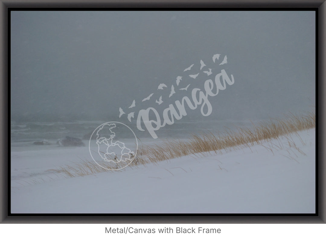 Wall Art: Blizzard at the Beach