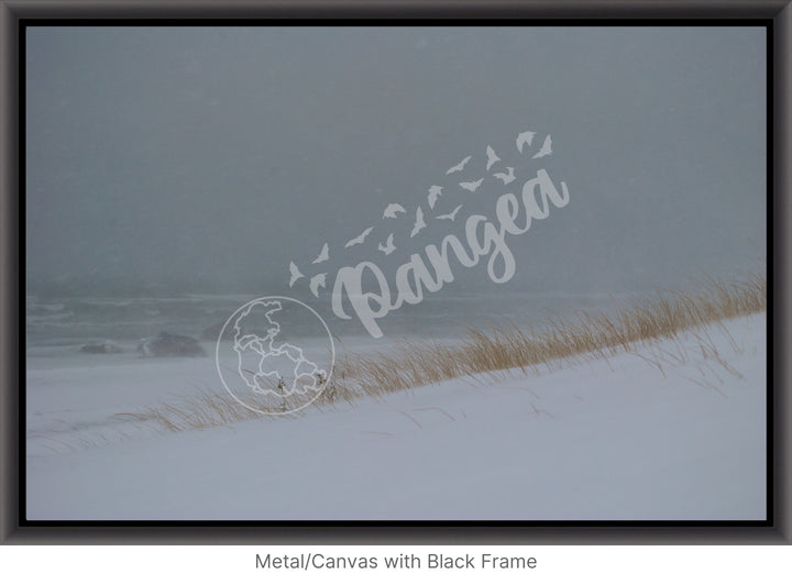 Wall Art: Blizzard at the Beach