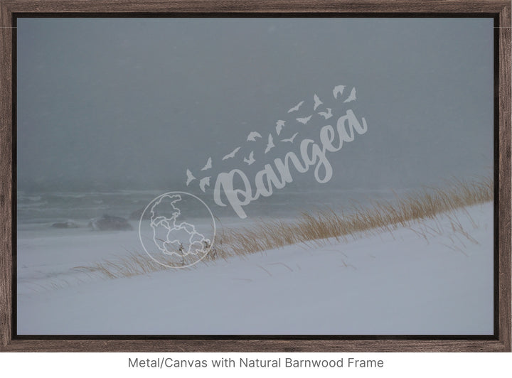 Wall Art: Blizzard at the Beach